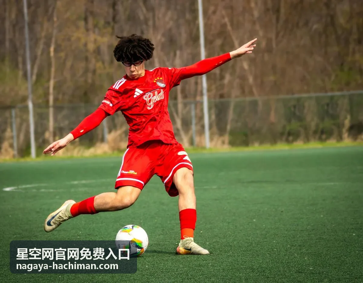星空网官网免费入口手机端与电脑端操作差异说明