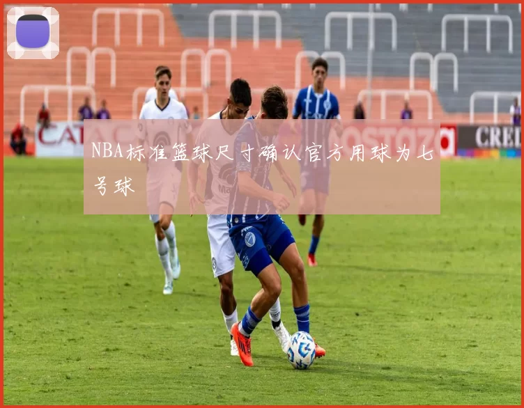 NBA标准篮球尺寸确认官方用球为七号球