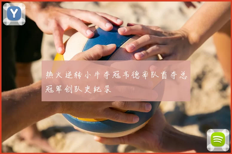 热火逆转小牛夺冠韦德率队首夺总冠军创队史纪录