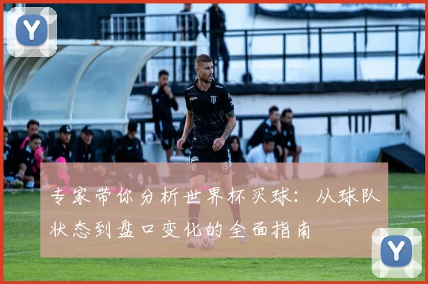 专家带你分析世界杯买球:从球队状态到盘口变化的全面指南